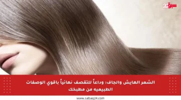 الشعر الهايش والجاف: وداعاً للتقصف نهائياً بأقوى الوصفات الطبيعية من مطبخك